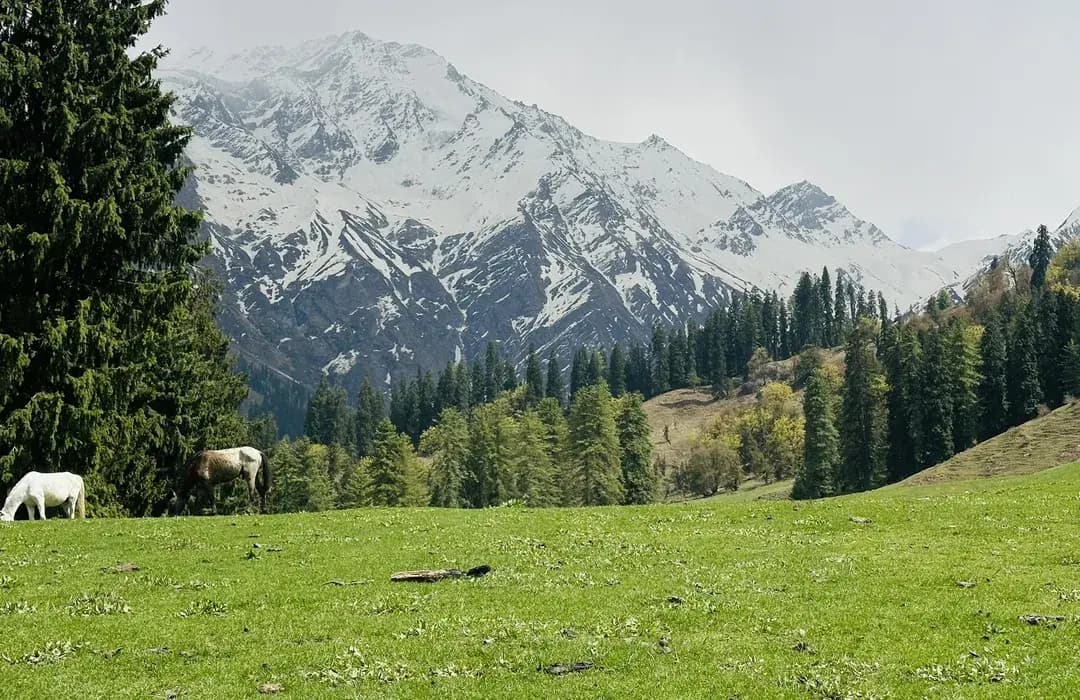 Swajani-Bhandak-Biskeri Trek