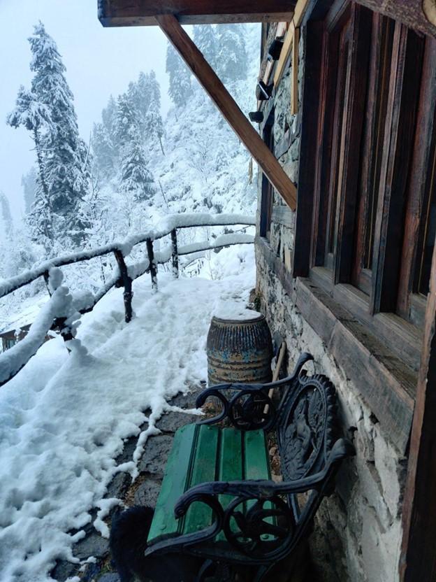 Parvati's Lap - Luxury Hostel & Villa, Lapas Village (Kasol), Parvati Valley, Himachal Pradesh — Himalayan view photo 6